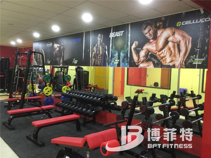 桃子视频在线观看免费完整版网客户健身器械