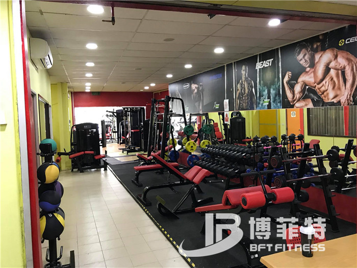 桃子视频在线观看免费完整版网健身器材批发