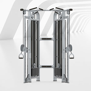 BFT-3025C小飞鸟训练器小飞鸟健身器材桃子视频观看免费完整